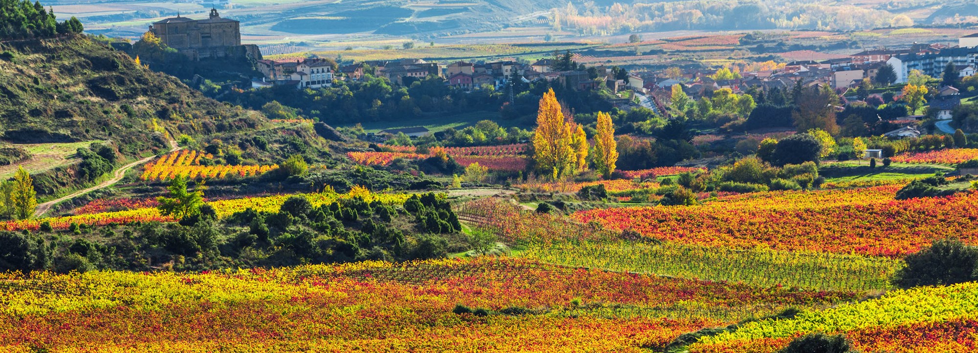 Norra Spanien Rioja