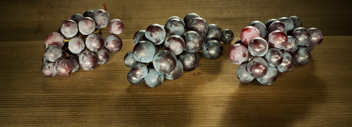 Blå druvor – tre blå på tre röda