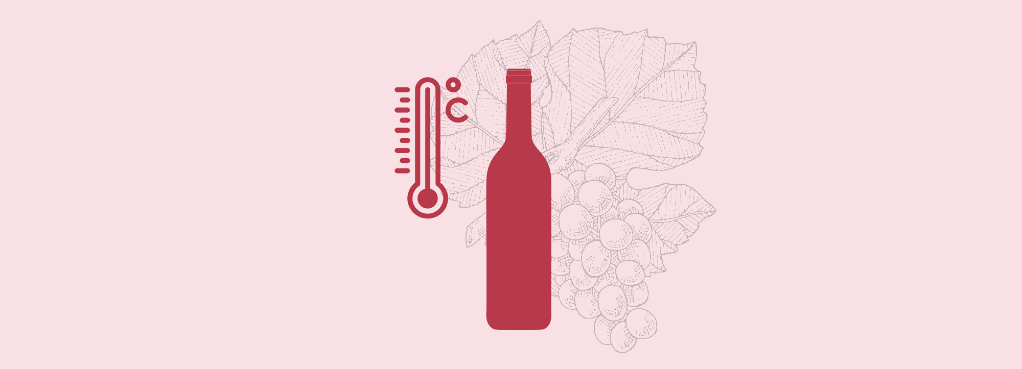 Temperatur rödvin